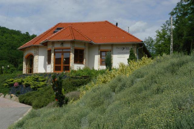 Naspolya Panzio Es Etterem Bed & Breakfast Bataapati Exterior photo